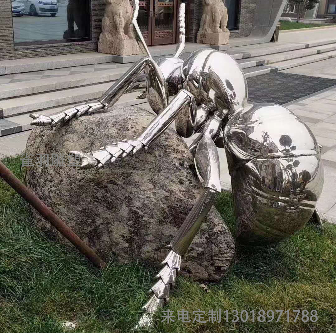 蜘蛛.jpg