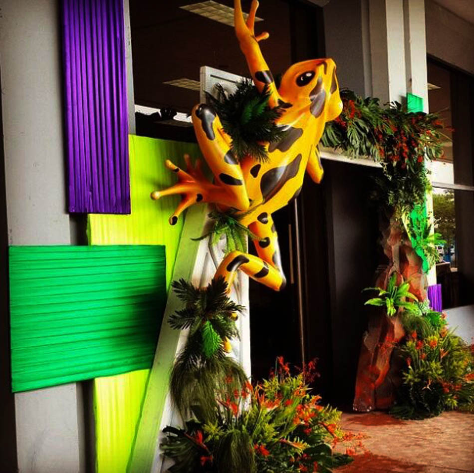 泡沫华体会网页版页面登录青蛙